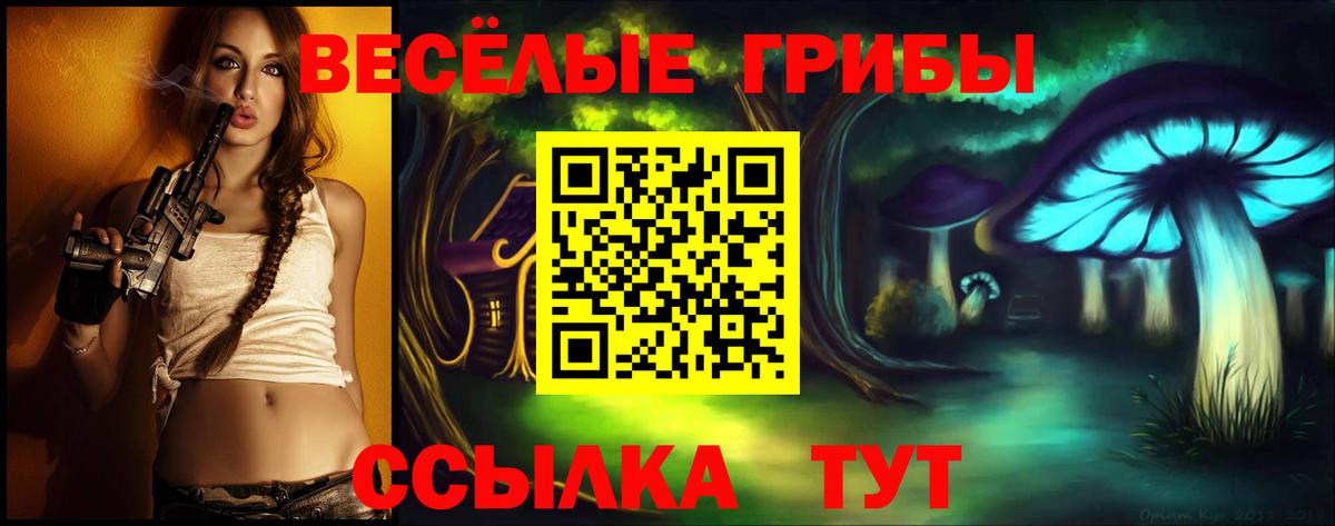 Псилоцибиновые грибы Cubensis  Вход с VPN  Тихвин 
